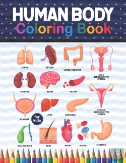 Bertrand.pt - Human Body Coloring Book For Kids