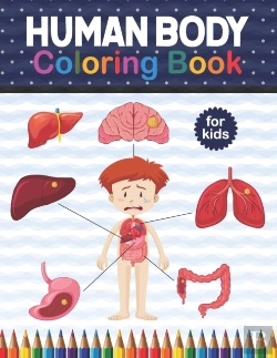 Bertrand.pt - Human Body Coloring Book For Kids