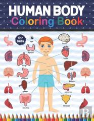 Human Body Coloring Book For Kids