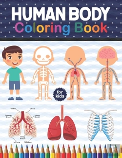 Bertrand.pt - Human Body Coloring Book For Kids