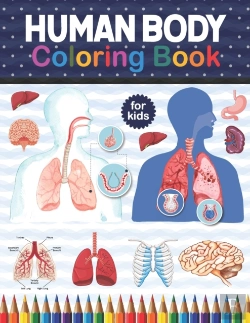 Bertrand.pt - Human Body Coloring Book For Kids