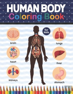 Bertrand.pt - Human Body Coloring Book For Kids