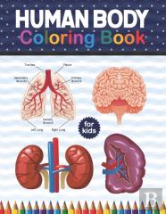 Human Body Coloring Book For Kids