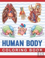 Human Body Coloring Book
