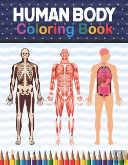 Bertrand.pt - Human Body Coloring Book