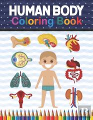 Human Body Coloring Book
