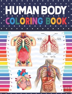 Bertrand.pt - Human Body Coloring Book