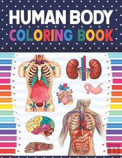 Bertrand.pt - Human Body Coloring Book