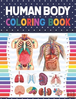 Bertrand.pt - Human Body Coloring Book