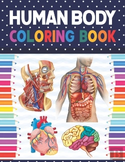 Bertrand.pt - Human Body Coloring Book