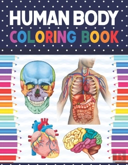 Bertrand.pt - Human Body Coloring Book