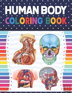 Bertrand.pt - Human Body Coloring Book