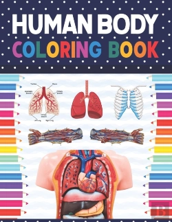 Bertrand.pt - Human Body Coloring Book