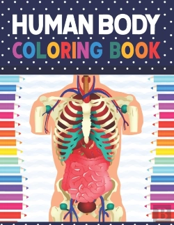 Bertrand.pt - Human Body Coloring Book