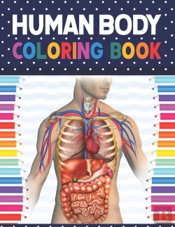 Bertrand.pt - Human Body Coloring Book