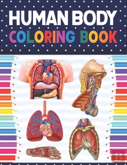Bertrand.pt - Human Body Coloring Book
