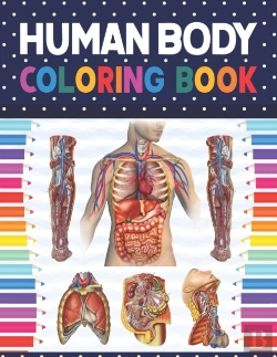 Bertrand.pt - Human Body Coloring Book