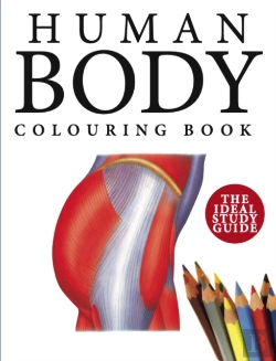 Bertrand.pt - Human Body Colouring Book