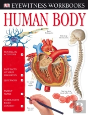 Human Body