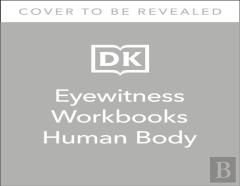 Human Body