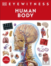 Human Body