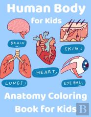 Human Body For Kids