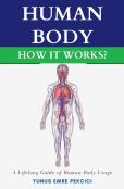 Human Body How It Works?