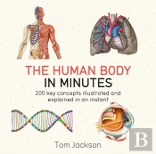 Human Body In Minutes
