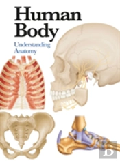 Human Body