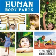 Human Body Parts