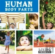 Human Body Parts
