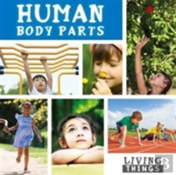 Bertrand.pt - Human Body Parts