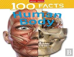 Human Body