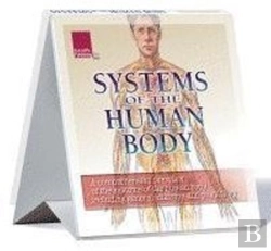 Bertrand.pt - Human Body Systems Flip Chart