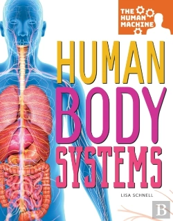 Bertrand.pt - Human Body Systems