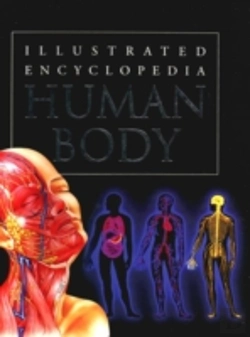 Bertrand.pt - Human Body