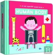 Human Body