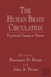 Human Brain Circulation
