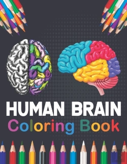 Bertrand.pt - Human Brain Coloring Book