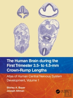 Bertrand.pt - Human Brain During The First Trimester 3.5- To 4.5-Mm Crown-Rump Lengths