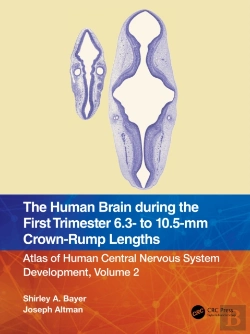 Bertrand.pt - Human Brain During The First Trimester 6.3- To 10.5-Mm Crown-Rump Lengths