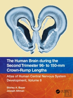 Bertrand.pt - Human Brain During The Second Trimester 96- To 150-Mm Crown-Rump Lengths