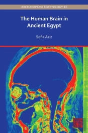 Human Brain In Ancient Egypt