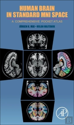 Bertrand.pt - Human Brain In Standard Mni Space