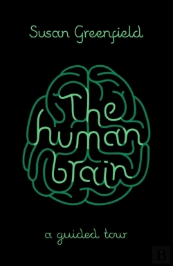 Bertrand.pt - Human Brain