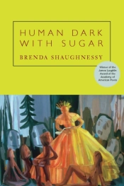 Human Dark With Sugar