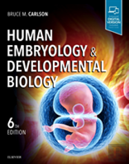 Human Embryology And Developmental Biology 6e