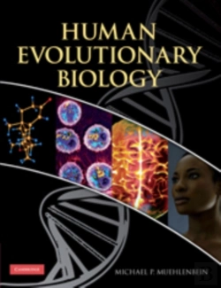 Bertrand.pt - Human Evolutionary Biology