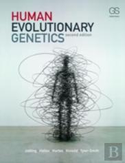 Human Evolutionary Genetics