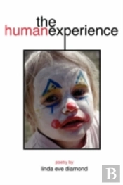 Human Experience